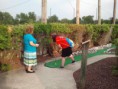 /album/youth-group-mini-golfing-august-3-2012/golf-002-jpg/